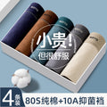 Men’s Cotton Boxer Briefs Multipack, Soft Breathable Stretch Underwear for Daily Wear