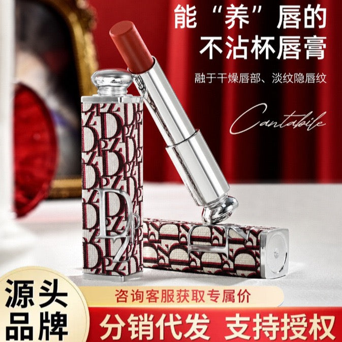 DZ Pattern Tube Moist Lipstick, Creamy Nude Lip Stick for Daily Makeup