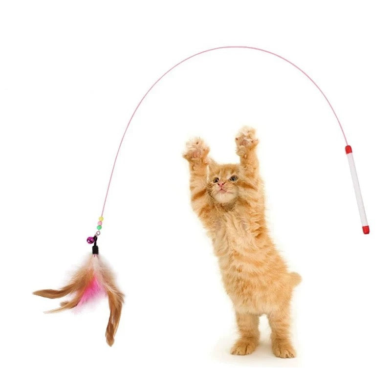 Wooden Handle Cat Teaser Wand, Interactive Feather Cat Toy With Bell & Replaceable Hooks
